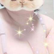 上仲心郷 モミモミ　　本日出勤です 五十路マダムエクスプレス船橋店(カサブランカグループ)