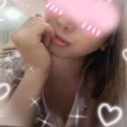 ヒメ日記 2024/12/24 08:19 投稿 雛形 ANECOTE