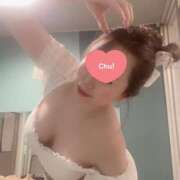 ヒメ日記 2025/04/08 16:01 投稿 雛形 ANECOTE