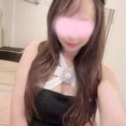 ヒメ日記 2025/10/27 10:30 投稿 雛形 ANECOTE