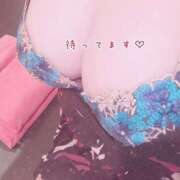 ヒメ日記 2025/05/14 12:34 投稿 かなの もしも清楚な20、30代の妻とキスイキできたら横浜店