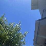 ヒメ日記 2025/08/06 08:34 投稿 かなの もしも清楚な20、30代の妻とキスイキできたら横浜店