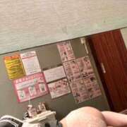 ヒメ日記 2025/02/23 07:59 投稿 和泉 さおり プルプルハウス