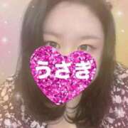 ヒメ日記 2026/04/17 22:54 投稿 うさぎ 埼玉本庄ちゃんこ