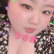 ヒメ日記 2026/04/18 11:54 投稿 うさぎ 埼玉本庄ちゃんこ