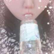 ヒメ日記 2026/04/18 20:54 投稿 うさぎ 埼玉本庄ちゃんこ