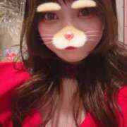 あみ こんばんは パイの巣