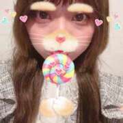 あみ こんばんは パイの巣