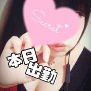 ヒメ日記 2024/12/08 07:39 投稿 北浦 鶯谷デッドボール