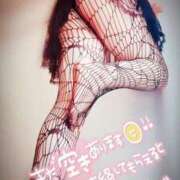 ヒメ日記 2024/12/16 09:09 投稿 北浦 鶯谷デッドボール