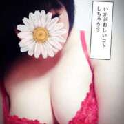 ヒメ日記 2025/01/25 13:22 投稿 北浦 鶯谷デッドボール