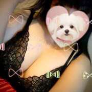 ヒメ日記 2025/02/08 07:20 投稿 北浦 鶯谷デッドボール