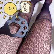 ヒメ日記 2025/02/10 09:27 投稿 北浦 鶯谷デッドボール