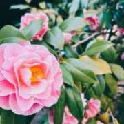 ヒメ日記 2025/02/13 09:29 投稿 北浦 鶯谷デッドボール