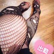 ヒメ日記 2025/02/17 07:33 投稿 北浦 鶯谷デッドボール