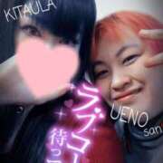 ヒメ日記 2025/02/17 16:29 投稿 北浦 鶯谷デッドボール