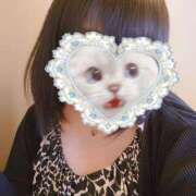 ヒメ日記 2025/02/19 14:19 投稿 北浦 鶯谷デッドボール