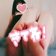 ヒメ日記 2025/02/21 08:49 投稿 北浦 鶯谷デッドボール