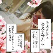 ヒメ日記 2025/02/26 09:47 投稿 北浦 鶯谷デッドボール