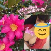 ヒメ日記 2025/02/27 12:34 投稿 北浦 鶯谷デッドボール