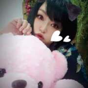 ヒメ日記 2025/03/03 13:00 投稿 北浦 鶯谷デッドボール