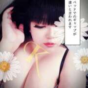 ヒメ日記 2025/03/05 13:49 投稿 北浦 鶯谷デッドボール