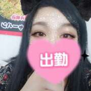 ヒメ日記 2025/03/08 13:19 投稿 北浦 鶯谷デッドボール