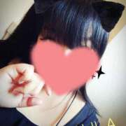 ヒメ日記 2025/03/19 07:49 投稿 北浦 鶯谷デッドボール