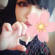 ヒメ日記 2025/03/19 09:16 投稿 北浦 鶯谷デッドボール