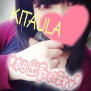 ヒメ日記 2025/03/20 13:49 投稿 北浦 鶯谷デッドボール