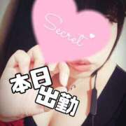 ヒメ日記 2025/03/21 19:10 投稿 北浦 鶯谷デッドボール