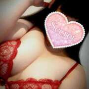 ヒメ日記 2025/03/28 07:59 投稿 北浦 鶯谷デッドボール