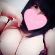 ヒメ日記 2025/04/02 10:31 投稿 北浦 鶯谷デッドボール