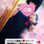 ヒメ日記 2025/04/04 18:09 投稿 北浦 鶯谷デッドボール