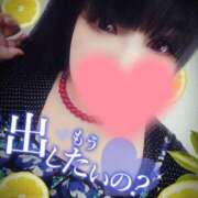 ヒメ日記 2025/04/16 10:49 投稿 北浦 鶯谷デッドボール