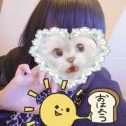 ヒメ日記 2025/05/25 07:50 投稿 北浦 鶯谷デッドボール