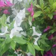 ヒメ日記 2025/06/01 07:59 投稿 北浦 鶯谷デッドボール