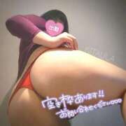 ヒメ日記 2025/06/06 12:09 投稿 北浦 鶯谷デッドボール