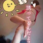 ヒメ日記 2025/06/15 08:54 投稿 北浦 鶯谷デッドボール