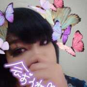 ヒメ日記 2025/06/17 13:09 投稿 北浦 鶯谷デッドボール