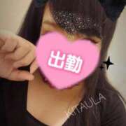 ヒメ日記 2025/07/13 09:39 投稿 北浦 鶯谷デッドボール