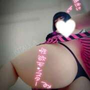 ヒメ日記 2025/07/26 06:19 投稿 北浦 鶯谷デッドボール