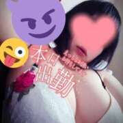 ヒメ日記 2025/07/30 09:40 投稿 北浦 鶯谷デッドボール