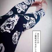 ヒメ日記 2025/08/16 17:15 投稿 北浦 鶯谷デッドボール