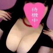 ヒメ日記 2025/08/29 15:02 投稿 北浦 鶯谷デッドボール