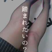 ヒメ日記 2025/09/01 11:12 投稿 北浦 鶯谷デッドボール