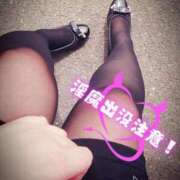 ヒメ日記 2025/09/08 11:49 投稿 北浦 鶯谷デッドボール