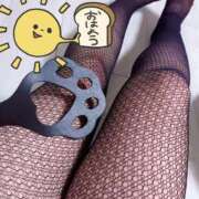 ヒメ日記 2025/09/14 07:29 投稿 北浦 鶯谷デッドボール