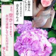 ヒメ日記 2025/09/15 11:29 投稿 北浦 鶯谷デッドボール