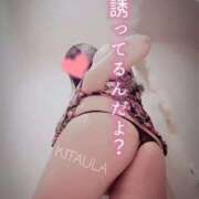 ヒメ日記 2025/09/20 07:20 投稿 北浦 鶯谷デッドボール